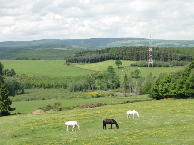 2014HWK 037.jpg